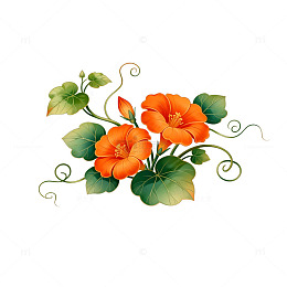 手绘花卉装饰图案