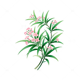 绿植花卉插画素材