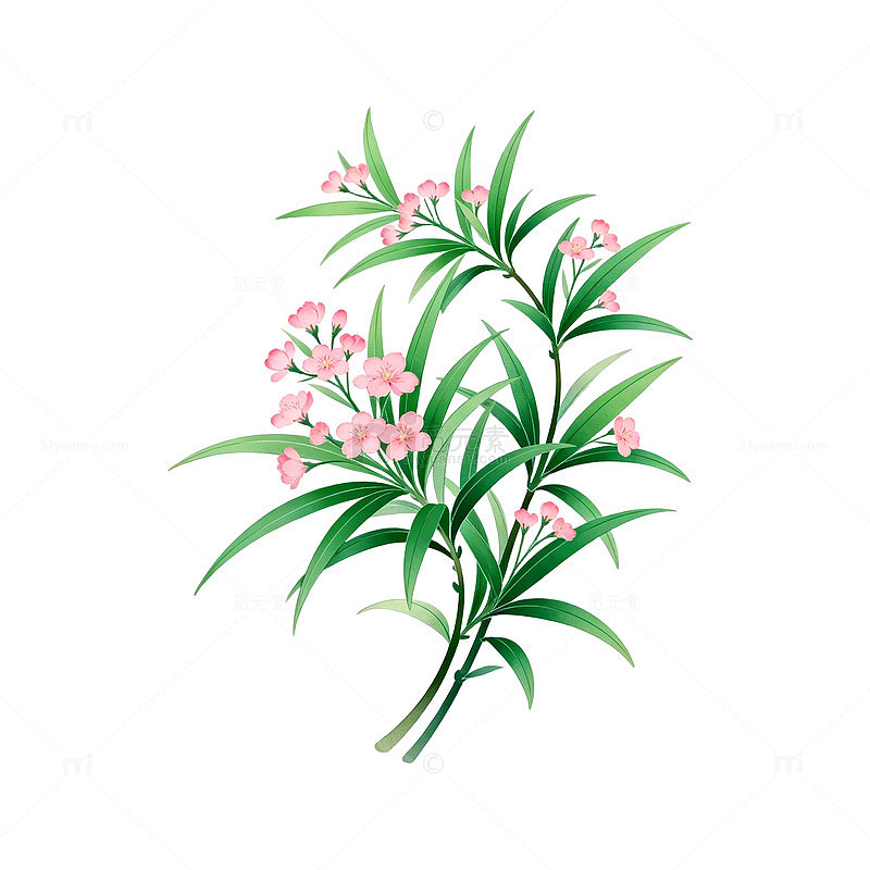 绿植花卉插画素材