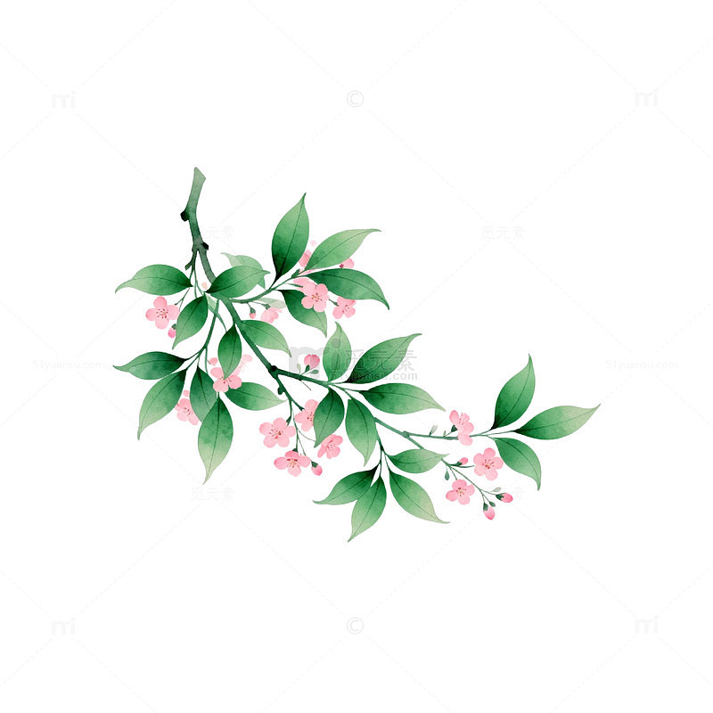 水墨风格植物花卉插画