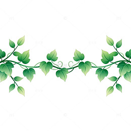 绿色藤蔓装饰图案