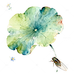 水彩荷叶蜻蜓自然插画