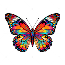 多彩蝴蝶插画素材