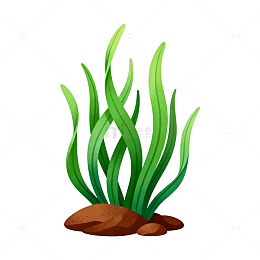 卡通水草海底植物插画