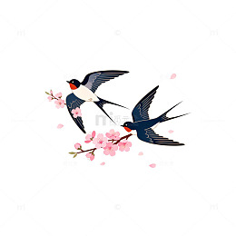 燕子樱花春季插画