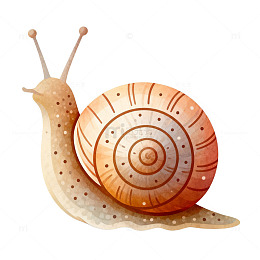 彩绘蜗牛插画素材