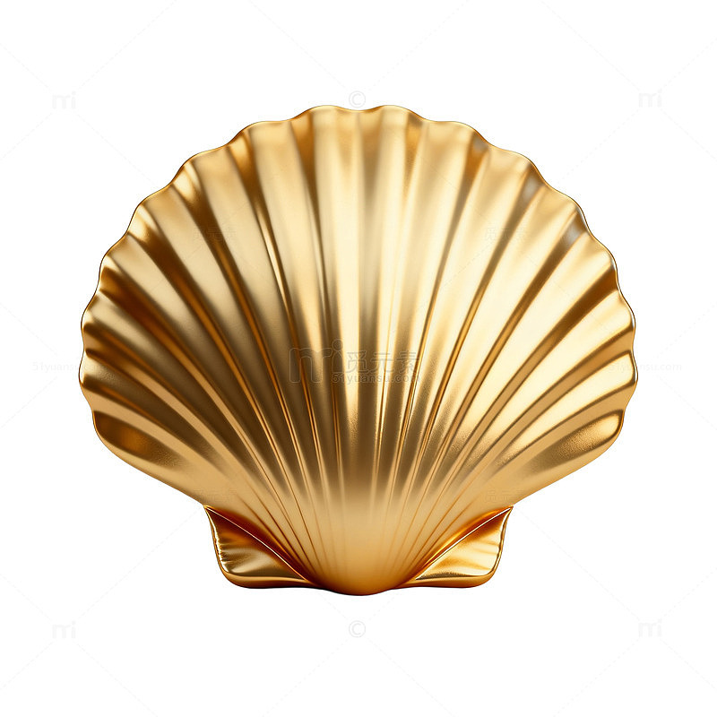 金色贝壳装饰品