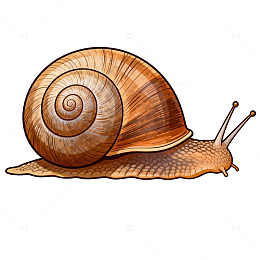 手绘风格蜗牛插画素材
