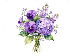 水彩花卉插画紫罗兰组合