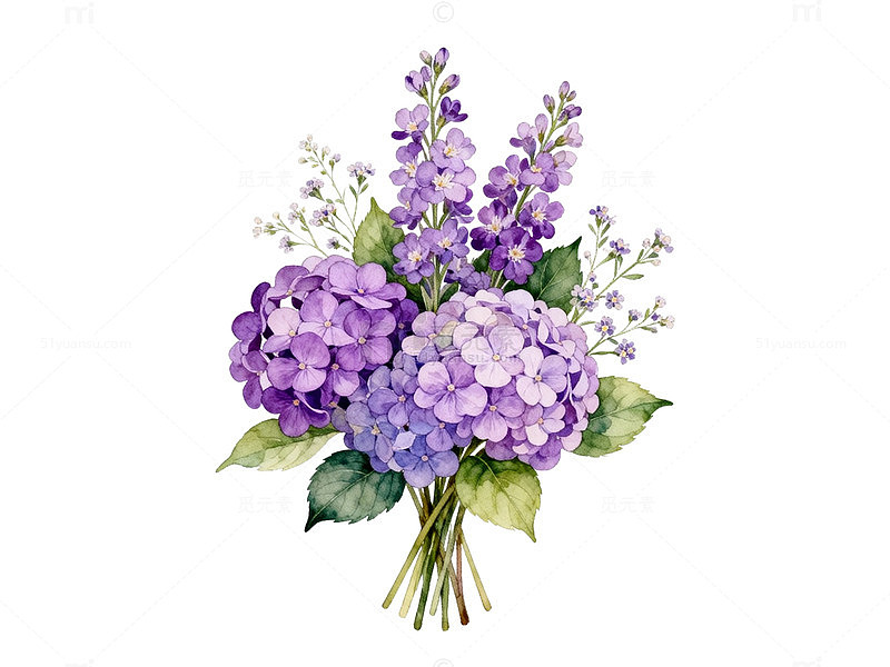 水彩绣球花束插画素材