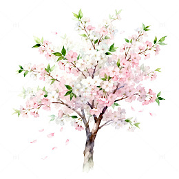 水彩樱花盛开插画