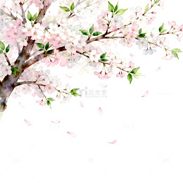 水彩樱花盛开春季插画素材