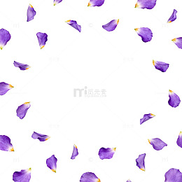 紫色花瓣边框装饰图案