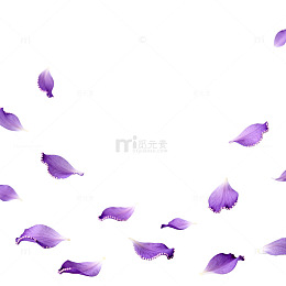 紫色花瓣飞舞创意背景图