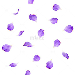 紫色花瓣背景装饰图