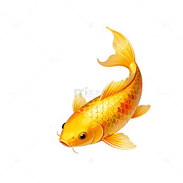 金鱼插画艺术设计素材