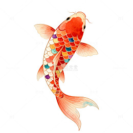 水彩锦鲤艺术插画
