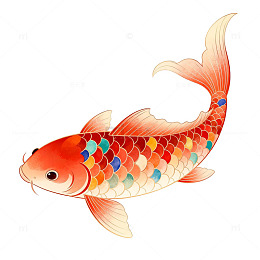 锦鲤卡通插画设计素材