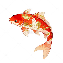 卡通锦鲤插画设计素材