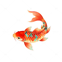 卡通锦鲤插画设计素材