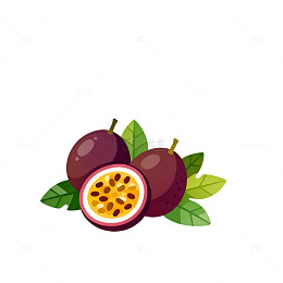 卡通风格百香果插画素材