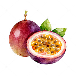 水彩风格百香果插画