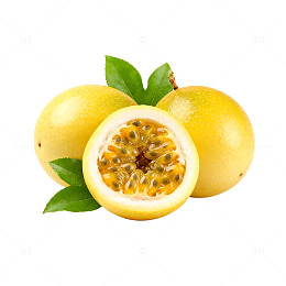 透明背景百香果矢量图