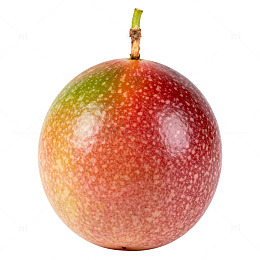 新鲜多彩芒果特写素材