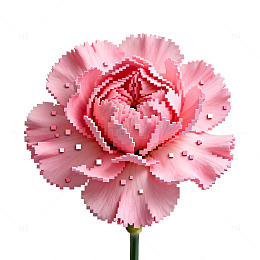 像素风粉红色康乃馨花朵图案