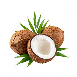 椰果插画设计素材