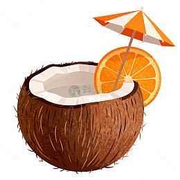 椰子橙片夏日插画