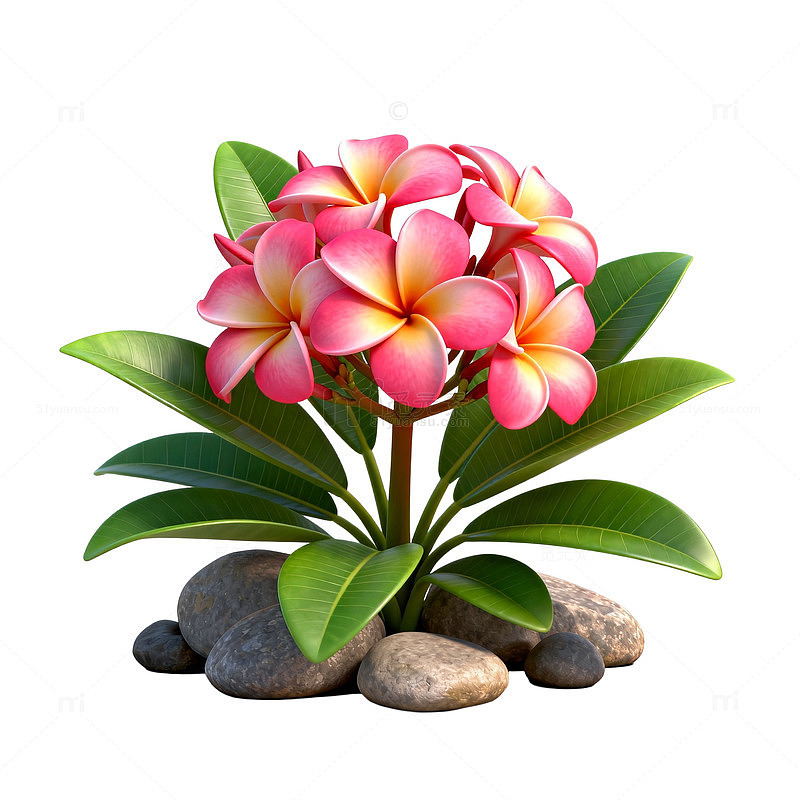 卡通风格鲜花绿植盆栽插画素材