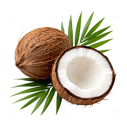 椰果热带风情展示图