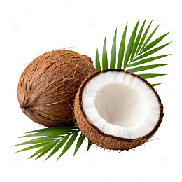 椰果热带风情素材