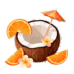 椰橙夏日插画素材