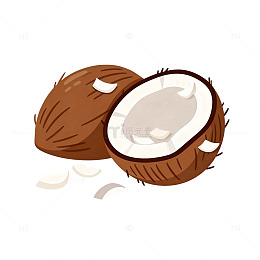 卡通椰子插画素材