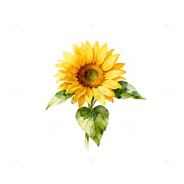 水彩画向日葵装饰画素材