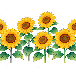卡通向日葵图案装饰素材
