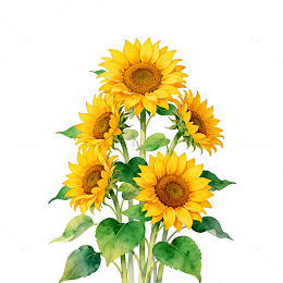 水彩向日葵装饰画设计素材