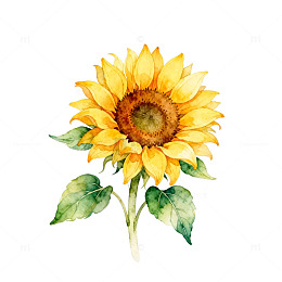水彩向日葵装饰画素材