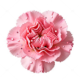 像素风格康乃馨花朵图案设计素材