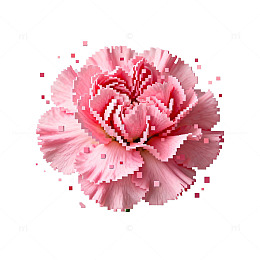 像素艺术康乃馨花朵插画