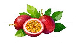 鲜艳百香果插画素材