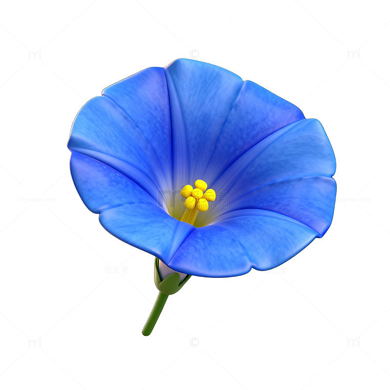 蓝色花朵特写素材