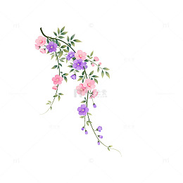 水彩花卉插画