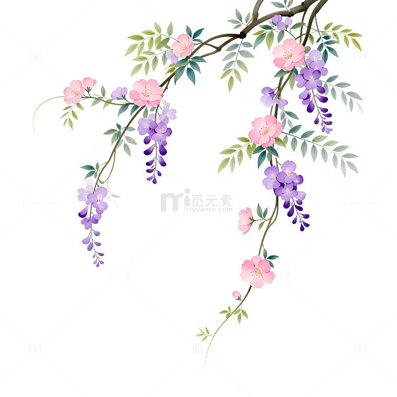 紫藤花枝水墨画设计素材