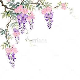 水彩紫藤花插画背景设计素材