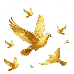金色鸽子飞翔艺术插画