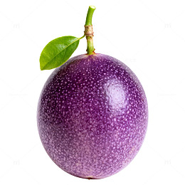 紫色百香果特写