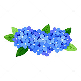 卡通风格绣球花插画设计元素